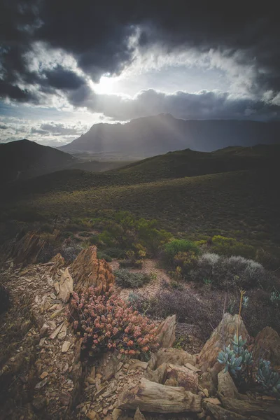 ウスターの南アフリカ共和国の Brandwaght 山のパノラマ広角風景写真集 — ストック写真