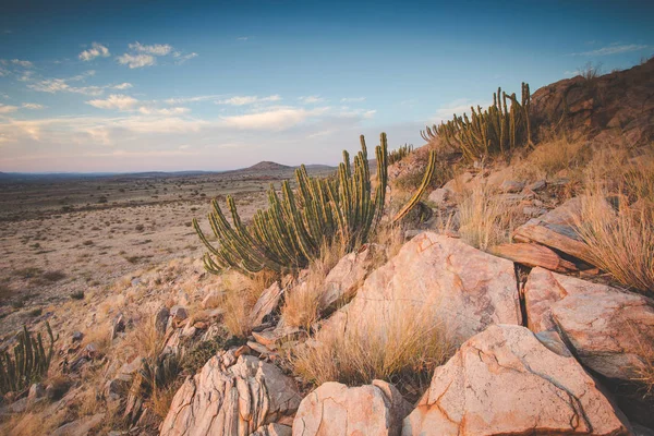 Panoramic Landscape Photo Views Kalahari Region South Africa — Stock Photo, Image