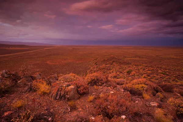Een Panoramisch Uitzicht Woestijn Tankwa Karoo Met Dramatische Onweerslucht Hemel — Stockfoto
