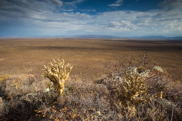 Tankwa 卡鲁沙漠与天空中戏剧性雷云的全景景色 — 图库照片