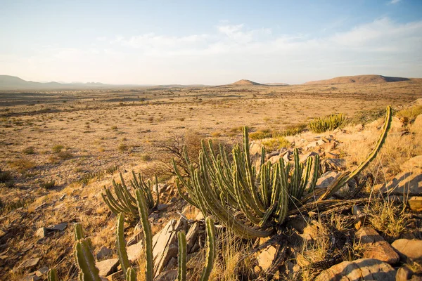 Panoramatické Krajiny Foto Výhled Oblasti Kalahari Jižní Africe — Stock fotografie