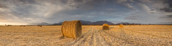 Panoramic Views Brilliant Sunset Meadow Big Hay Bales — Stock Photo, Image