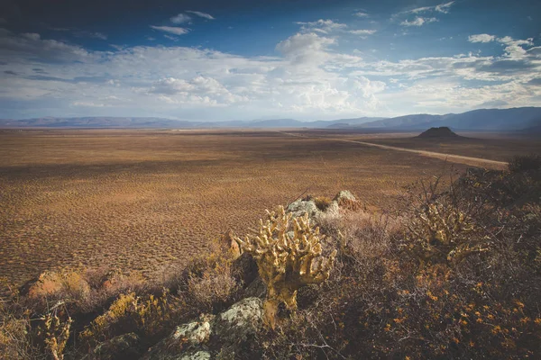 Panoramautsikt Över Tankwa Karoo Öknen Med Dramatiska Åskmoln Himlen — Stockfoto