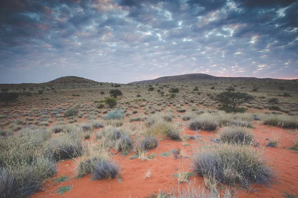 Vistas Panorámicas Del Paisaje Sobre Región Kalahari Sudáfrica — Foto de Stock