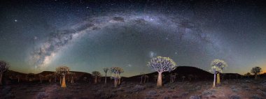 Geniş açı astro fotoğrafçılık fotoğraf üzerinde Nieuwoudtville Northern Cape, Güney Afrika için titreme ağaç ormanda yanan Samanyolu ile