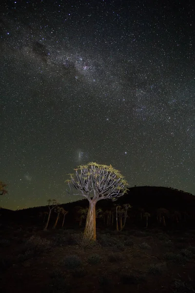 Široký Úhel Astro Foto Hořící Mléčná Dráha Nad Toulec Háj — Stock fotografie