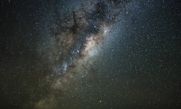 Panoramatické Snímky Krajiny Fotografie Astro Března Květin Brunsvigia Bosmaniae Nieuwoudtville — Stock fotografie