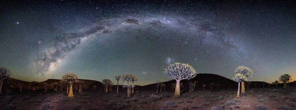 Široký Úhel Astro Foto Hořící Mléčná Dráha Nad Toulec Háj — Stock fotografie