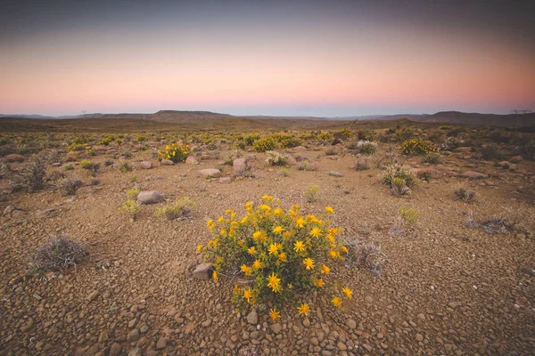 Ikonische Szenen Aus Der Karoo Region Südafrika Schotterpisten Und Halbwüsten — Stockfoto