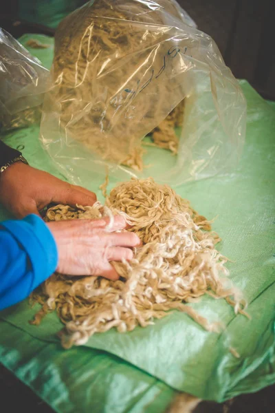 Imagen Cercana Granjero Separando Mohair Una Cabra Angora Sobre Una — Foto de Stock