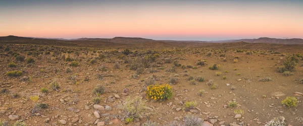 Escenas Icónicas Región Karoo Sudáfrica Camino Grava Condiciones Semi Desierto — Foto de Stock