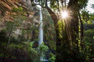 Geniş açı resim görkemli Lone Creek Falls Güney Afrika'daki Mpumalanga Sabie bölgesinde