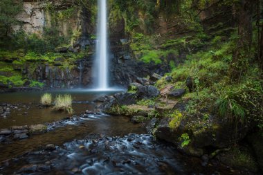 Wide angle image of the majestic Lone Creek Falls in the Sabie Region of Mpumalanga in South Africa clipart