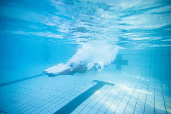 Imagen Submarina Nadador Masculino Sumergiéndose Una Piscina Olímpica Para Entrenar —  Fotos de Stock