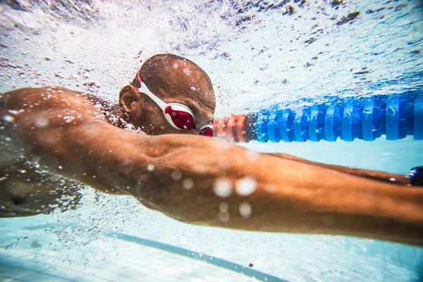 Mannelijke Zwemmer Duiken Zwemmen Een Zwembad Trainen — Stockfoto