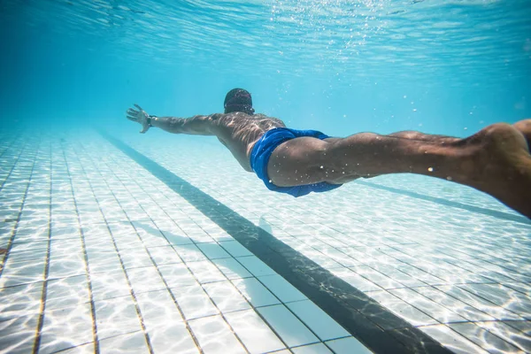 Nadador Masculino Buceando Nadando Una Piscina Para Entrenar —  Fotos de Stock