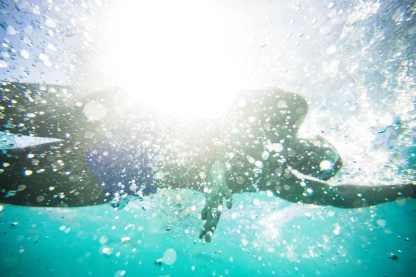 Schwimmer Tauchen Und Schwimmen Schwimmbad Trainieren — Stockfoto