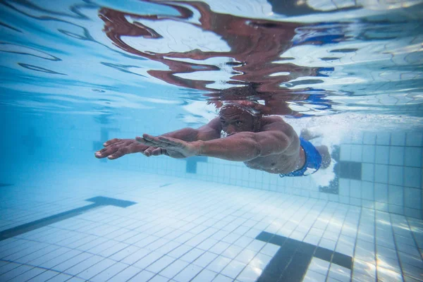 Nadador Masculino Buceando Nadando Una Piscina Para Entrenar —  Fotos de Stock