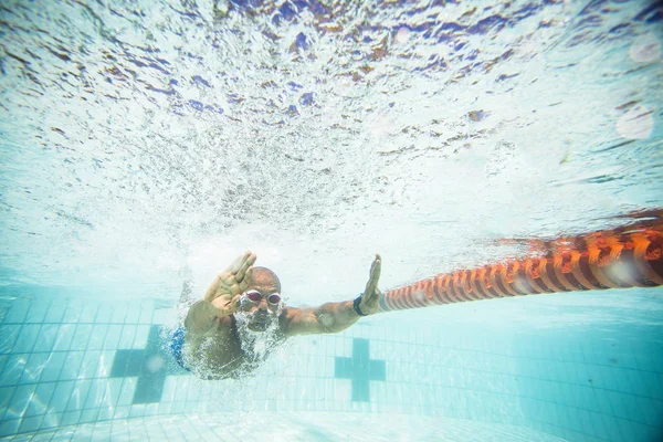 Mannelijke Zwemmer Duiken Zwemmen Een Zwembad Trainen — Stockfoto