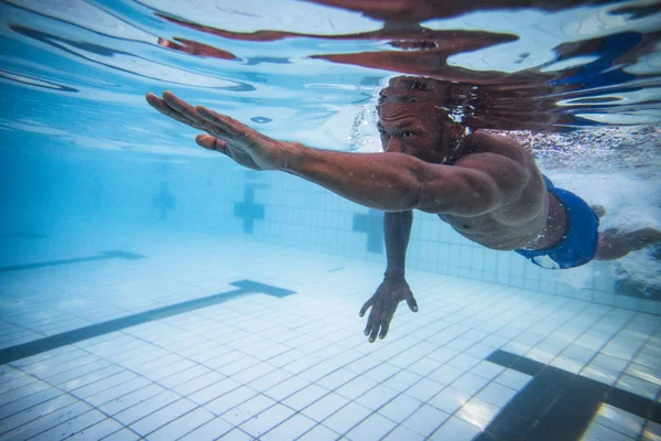 Mannelijke Zwemmer Duiken Zwemmen Een Zwembad Trainen — Stockfoto