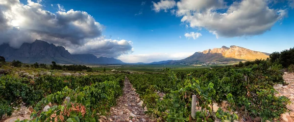 Vista Panoramica Sulla Valle Dello Slanghoek Vicino Alla Città Worcester — Foto Stock