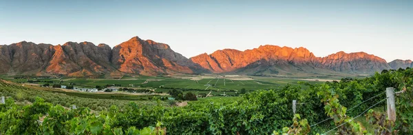 Vue Panoramique Vallée Slanghoek Près Ville Worcester Dans Vallée Breede — Photo