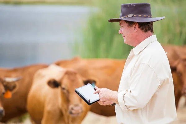 Nahaufnahme Eines Kaukasischen Bauern Auf Seinem Hof Der Mit Seiner — Stockfoto