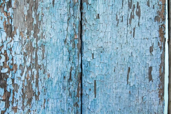 Tableros Con Pintura Azul Textura Del Árbol Viejo Contexto — Foto de Stock