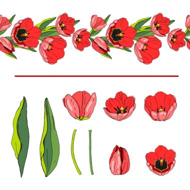 Vektör beyaz zemin üzerine kırmızı lale ile ayarla. Lale, öğeleri ile fırça. İllüstrasyon