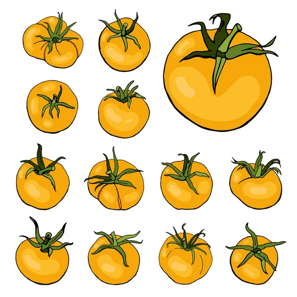 Set Con Tomates Amarillos Aislados Vector Ilustración — Archivo Imágenes Vectoriales