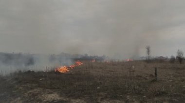 Kuru ot, evler ve yol yakınında yakma. Orman mesafe görünür. Bulutlu hava.