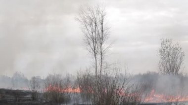 Kuru ot, evler ve yol yakınında yakma. / Gökyüzü bulutlar ile kaplıdır.