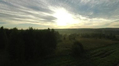 Alanlar, ormanlar sabahın erken saatlerinde manzara. / Kuş bakışı orman alanları. Güneş doğuyor. Sabah.