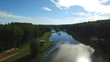 Manzara nehir orman kenarında. / Kuş bakışı nehir, nehir üzerinde köprü. Siyah kuğular nehirde yüzen.