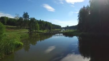 Manzara nehir orman kenarında. / Kuş bakışı nehir, nehir üzerinde köprü. Siyah kuğular nehirde yüzen.