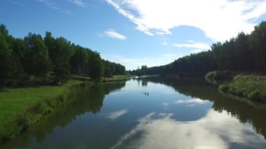 Manzara nehir orman kenarında. / Kuş bakışı nehir, nehir üzerinde köprü. Siyah kuğular nehirde yüzen.