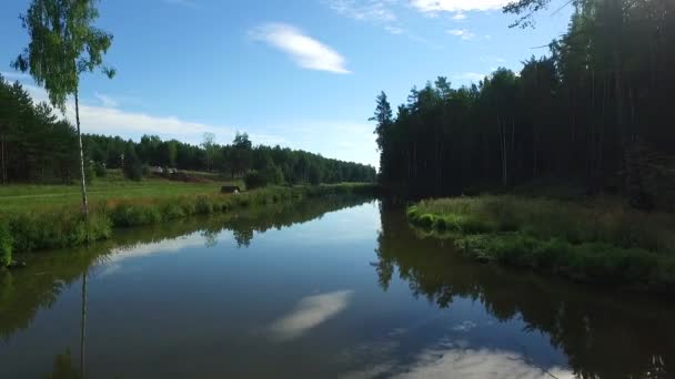 Paysage de la rivière près de la forêt. / Vue panoramique sur la rivière, pont sur la rivière. Cygnes blancs nagent sur la rivière .