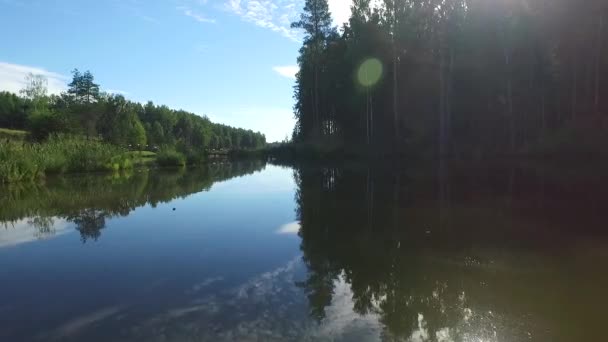 Paisaje Del Río Cerca Del Bosque Vista Pájaro Del Río — Vídeos de Stock