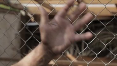 Eliyle adam hareketler. Hayvanlar için bir büyük kuş kafesi yakın olduğunu.