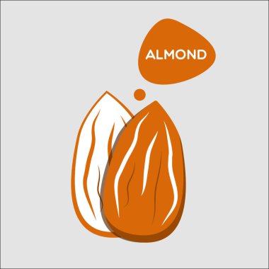 badem fındık simgesi