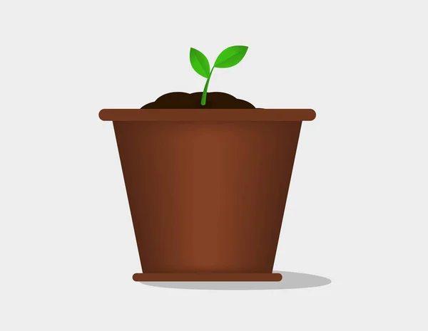 Seeding pot plant vector. — Stock Vector