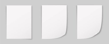 A4 kağıt köşe kıvrım vektörü izole edilmiş model