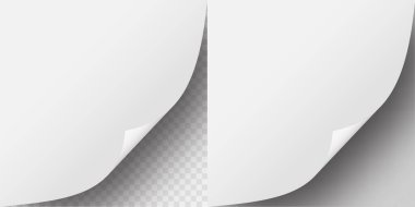 A4 kağıt köşe kıvrım vektörü izole edilmiş model