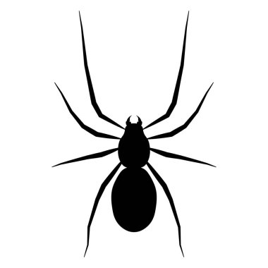 Örümcek simgesi illüstrasyon izole Vektör