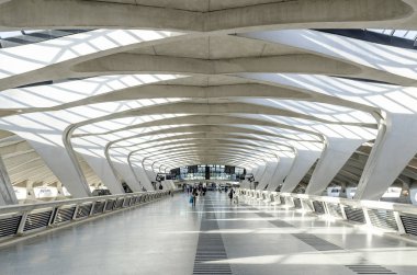 ünlü lyon Havaalanı tgv Tren İstasyonu modern mimarlık Simgesel Yapı iç Fransa