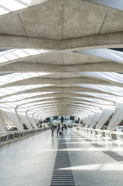 ünlü lyon Havaalanı tgv Tren İstasyonu modern mimarlık Simgesel Yapı iç Fransa