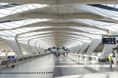 ünlü lyon Havaalanı tgv Tren İstasyonu modern mimarlık Simgesel Yapı iç Fransa