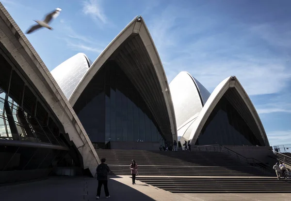 Detalle Arquitectura Exterior Del Famoso Monumento Ópera Sydney Australia Durante — Foto de Stock