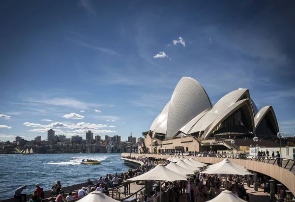 Sydney Opera House Und Hafenpromenade Outdoor Cafés Australien Sonnigen Tagen — Stockfoto