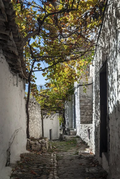 Kullerstensgata Berat Gamla Staden Albanien — Stockfoto